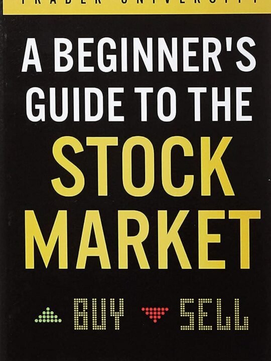 A beginner's guide to the stock market