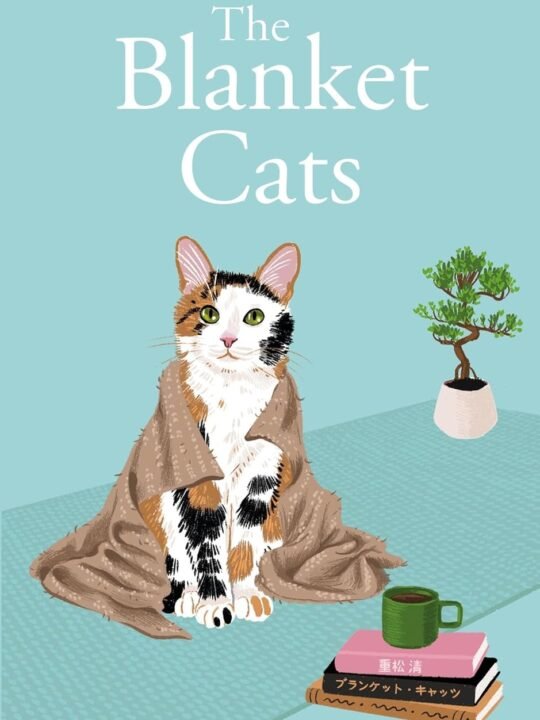 Blanket cats